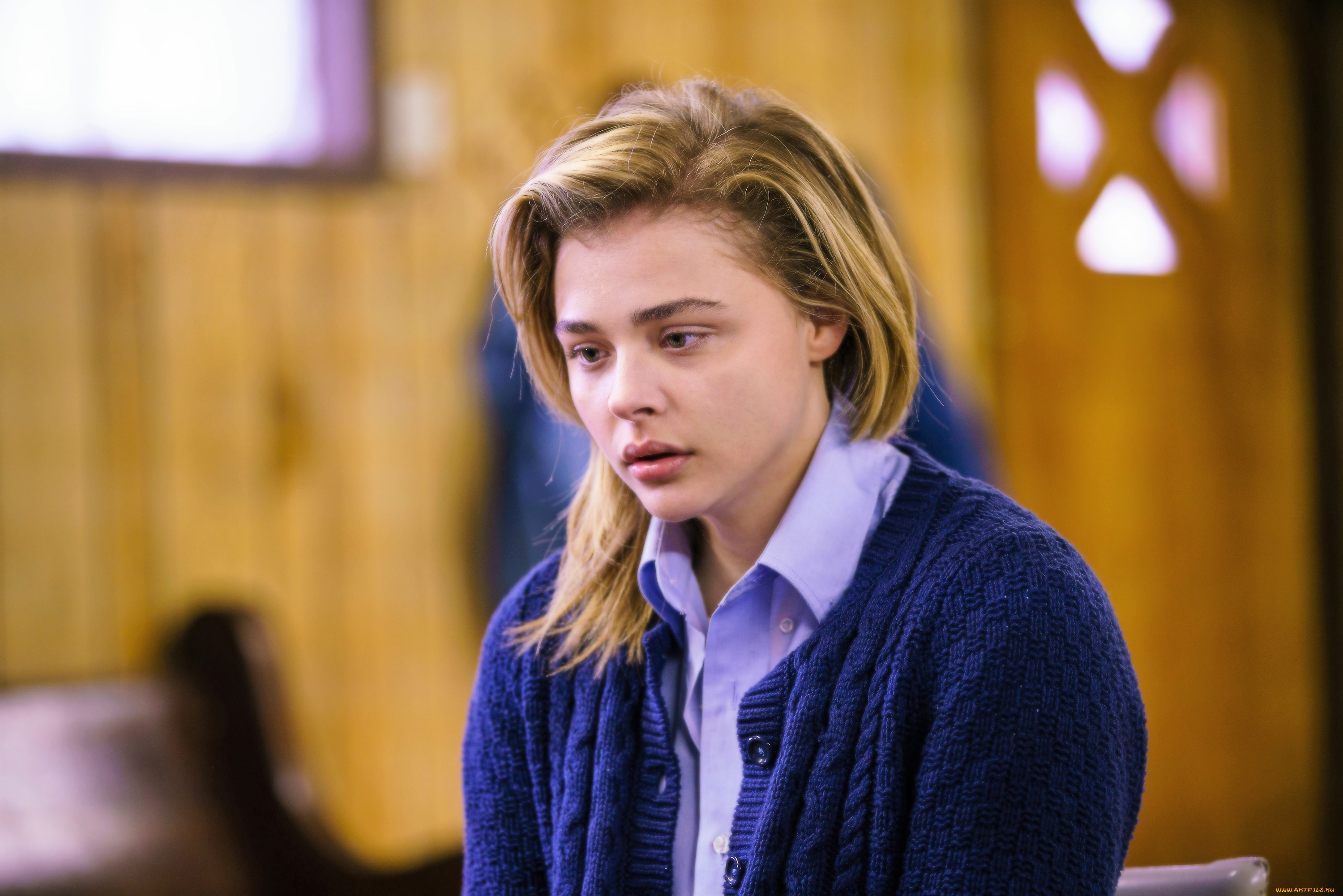 the miseducation of cameron post,  , , 